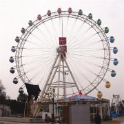 自控飛機(jī)在運(yùn)行時出現(xiàn)緊急情況后怎么處理？